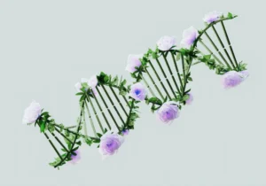 Genetisk nøgle til bipolar lidelse